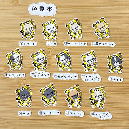 トラさんに変身！フレブルちゃん。96−243