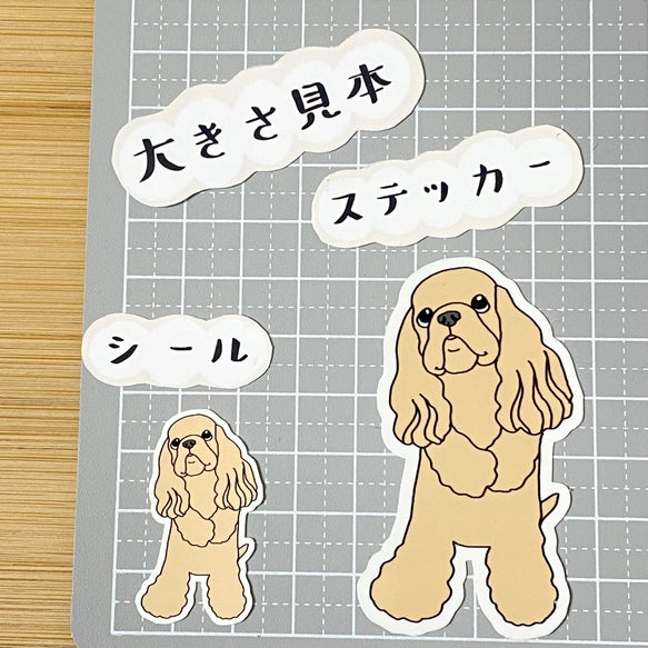 照れ屋のアメコカちゃん。5-14