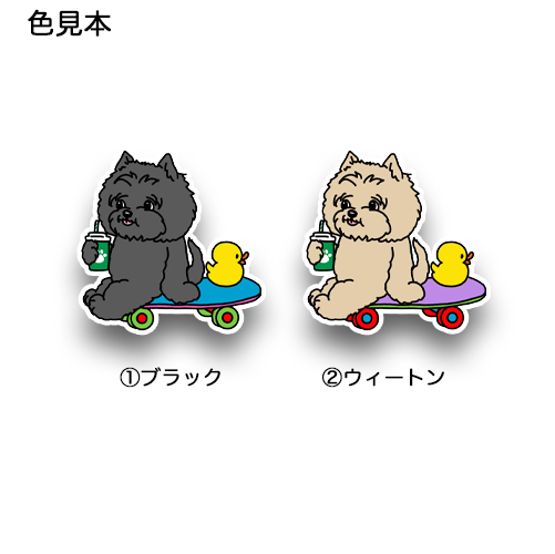 休憩中のケアーンテリアちゃん。29-9