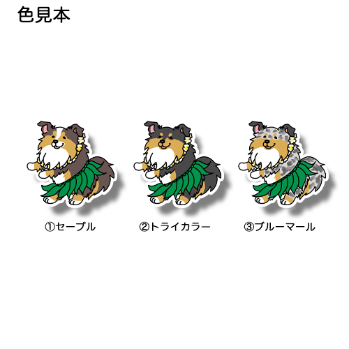 フラシェルティちゃん。38-15