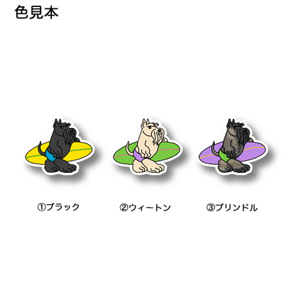 サーファースコッティちゃん。46-7
