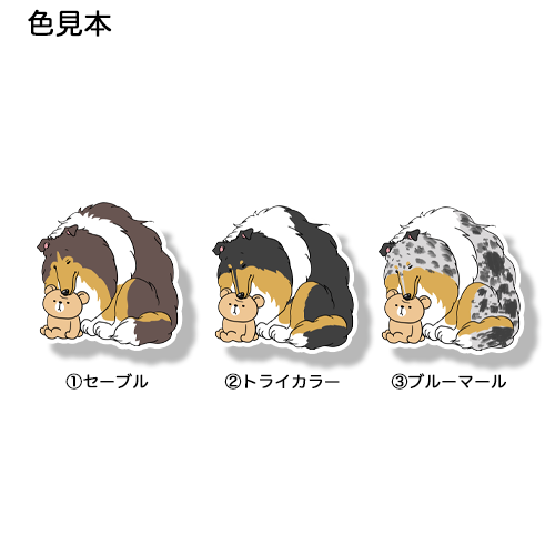 クマのぬいぐるみがお気に入りのラフコリーさん。116-7