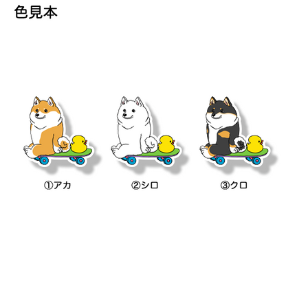 誰かと遊べるの待ってるシバちゃん。39-24