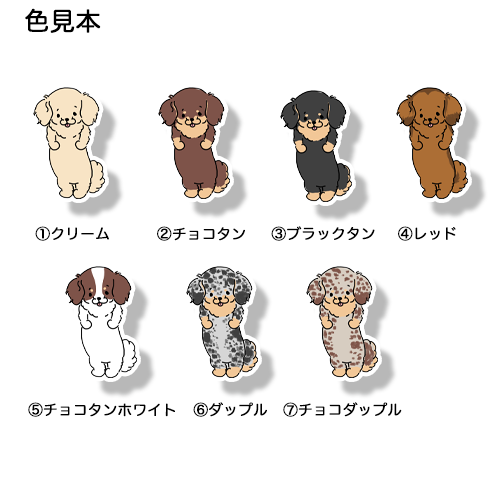 ぽやぽやチワックスちゃん。60-7