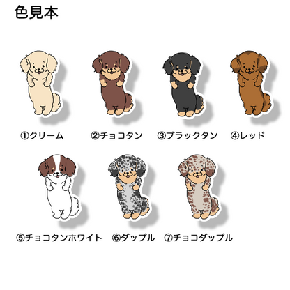 ぽやぽやチワックスちゃん。60-7