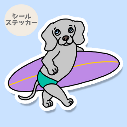 サーファーワイマラナーさん。123-11