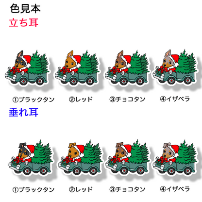 ツリーの配達中のミニピンちゃん。113-12