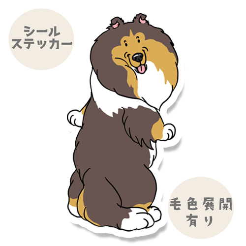 呼ばれたラフコリーさん。116-8