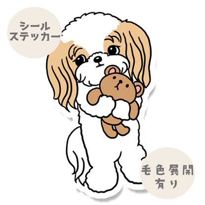 お気に入りのクマさんとマルシーズーちゃん。108-8