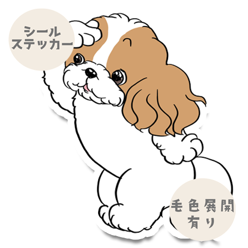 お友達待ってるシーズーちゃん。35-32