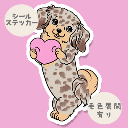 ハートを渡したいチワックスちゃん。60-8