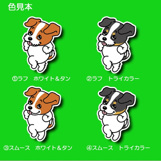 ワクワクジャックラッセルちゃん。42-5