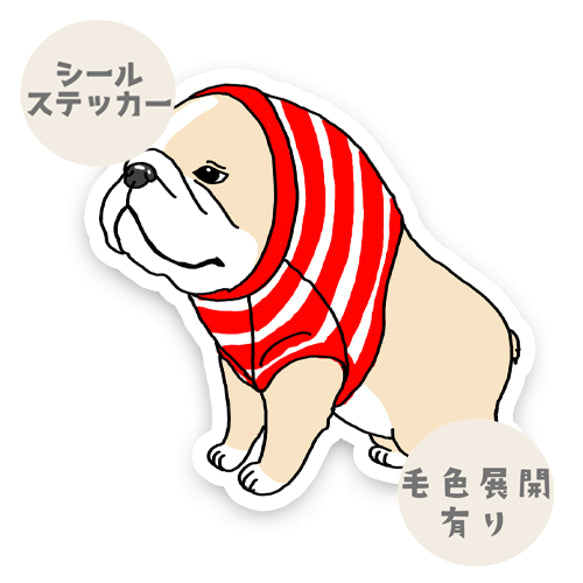 準備できたつもりのフレブルちゃん。96−491