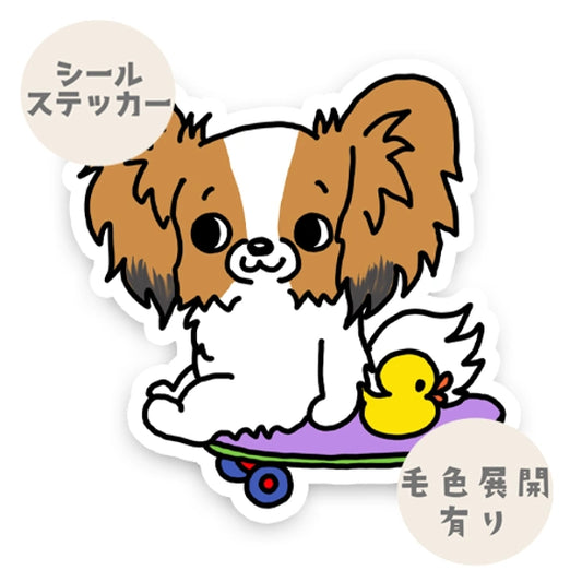 誰か遊んでくれないかなーって待ってるパピヨンちゃん。80-