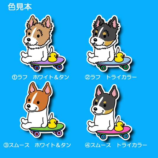 誰かと遊びたい立ち耳ジャックラッセルちゃん。43-8