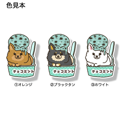 チョコミントアイスになりたいポメチワちゃん。102-8