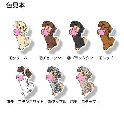 ハートを渡したいチワックスちゃん。60-8