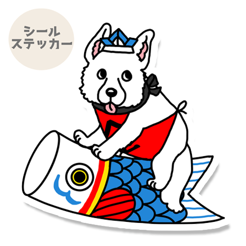 端午の節句のホワイトシェパードさん。37-15