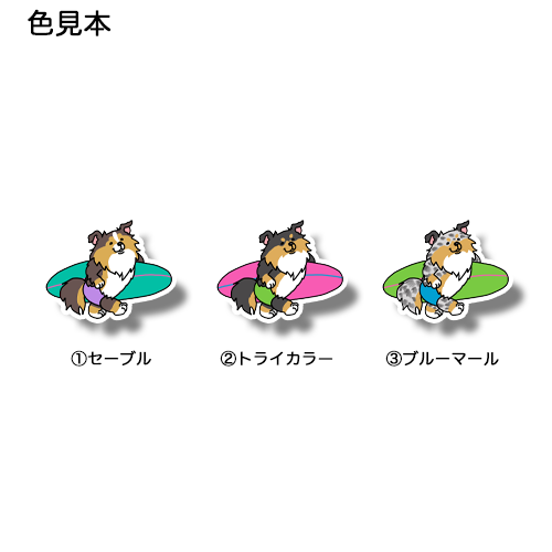 サーファーシェルティちゃん。38-16