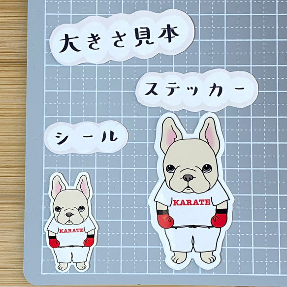 Tシャツで練習する空手フレブルちゃん。96−159