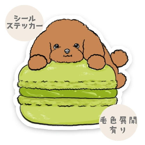 マカロン大好きプードルちゃん。87-