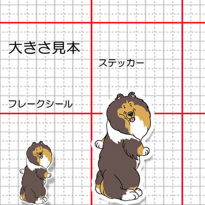 呼ばれたラフコリーさん。116-8
