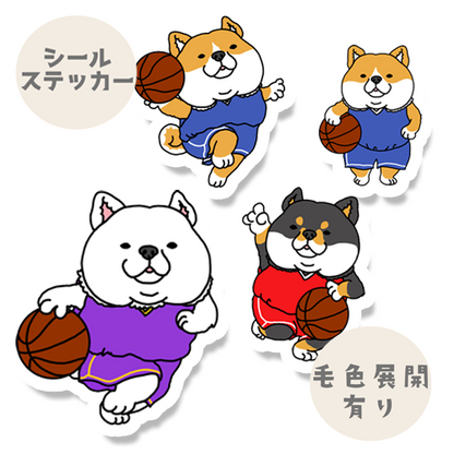 バスケ大好きシバさん。39-31