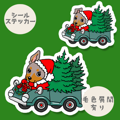 ツリーの配達中のミニピンちゃん。113-12