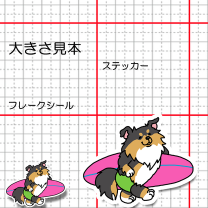 サーファーシェルティちゃん。38-16