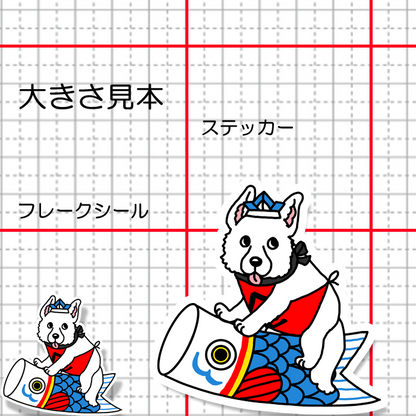 端午の節句のホワイトシェパードさん。37-15
