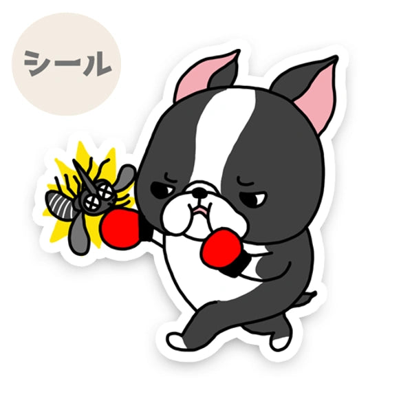 ボストンテリアちゃんのフィラリア予防。101-