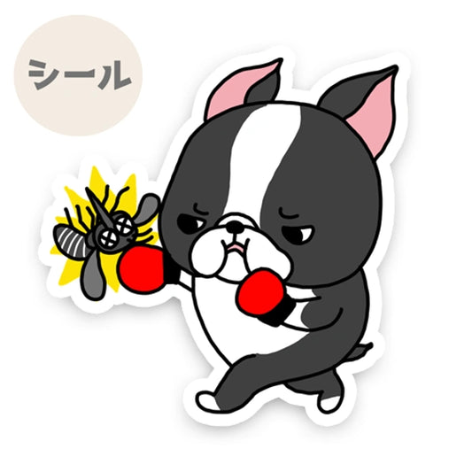 ボストンテリアちゃんのフィラリア予防。101-
