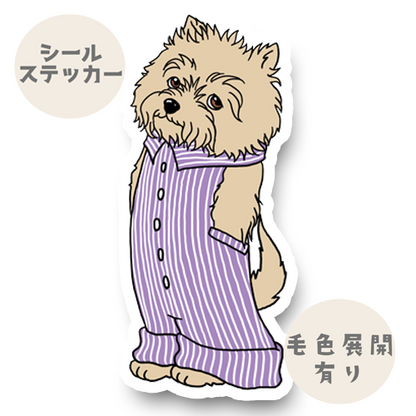 オーバーオールのケアーンテリアちゃん。29-11