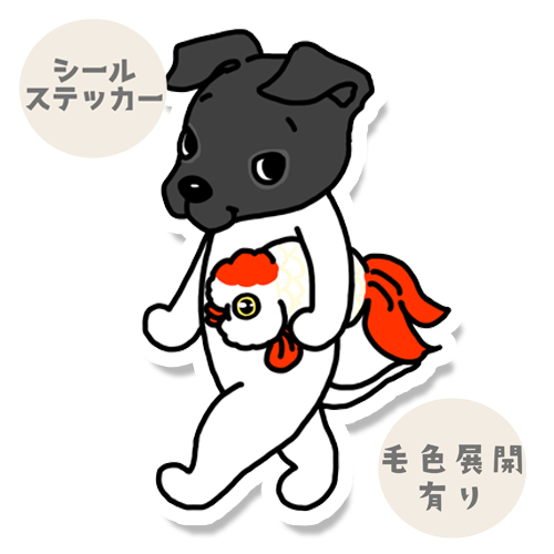 お気に入りの金魚とニホンテリアちゃん。71-9