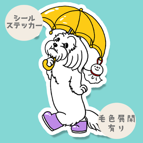 雨の日のマルックスちゃん。110-9