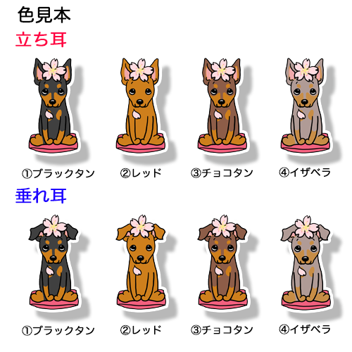 ミニピンちゃんの春のご挨拶。113-13