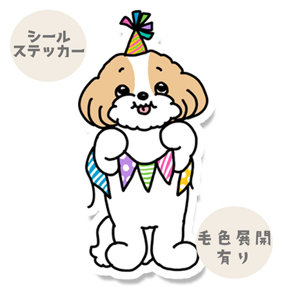 お祝いしてるマルシーズーちゃん。108-9