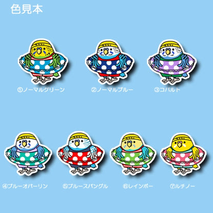 プールに入りたいセキセイインコちゃん。