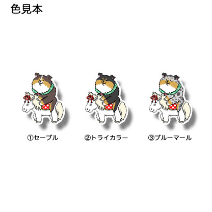 午年のシェルティちゃん。38-17