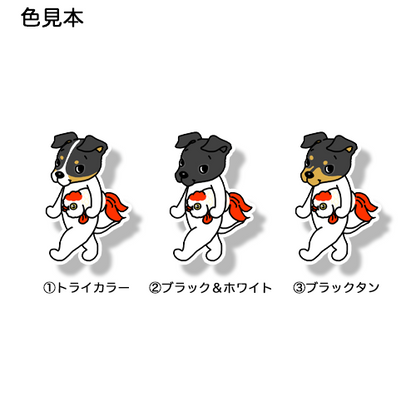 お気に入りの金魚とニホンテリアちゃん。71-9