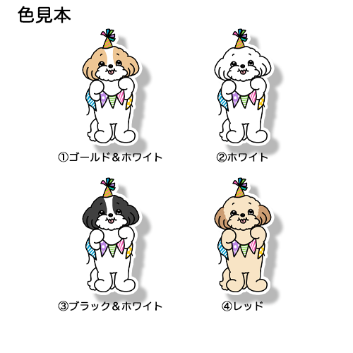 お祝いしてるマルシーズーちゃん。108-9