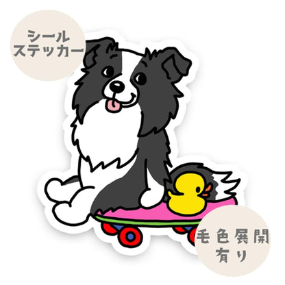 誰かと遊べないかなーって待ってるボーダーコリーちゃん。106-