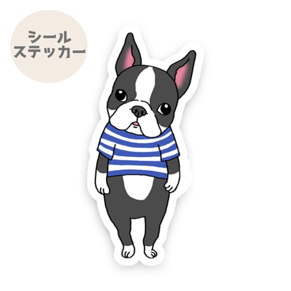ボストンテリアさん。101-