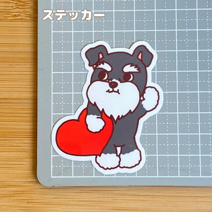 おおきなハートを届けにきたシュナウザーちゃん。44-20