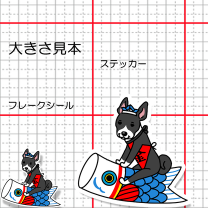 端午の節句のバセンジーさん。78-11