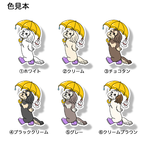 雨の日のマルックスちゃん。110-9