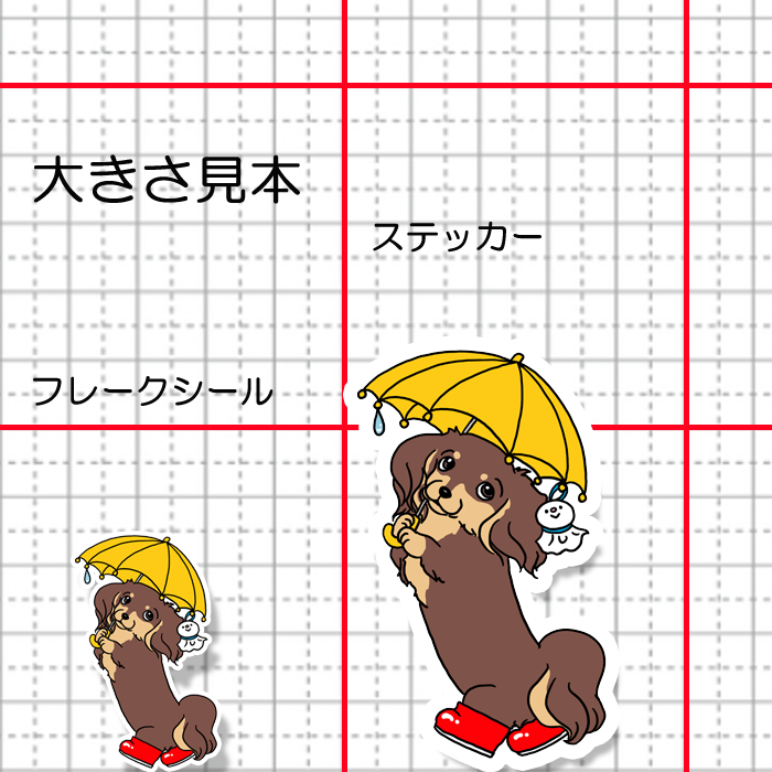 梅雨のお散歩のチワックスちゃん。60-9