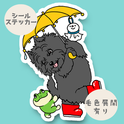 梅雨のお散歩で出会ったケアーンテリアちゃん。29-12