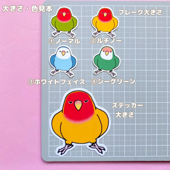 カゴに戻りたくないコザクラインコちゃん。