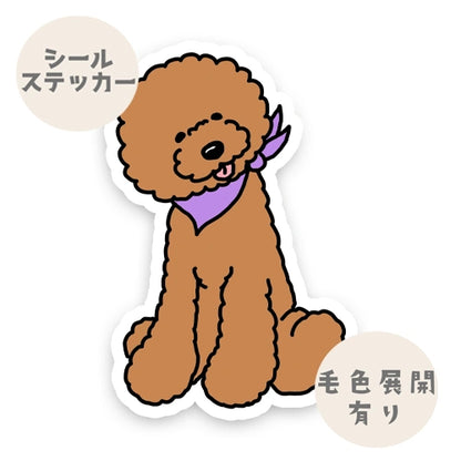 オスワリプードルちゃん。127-